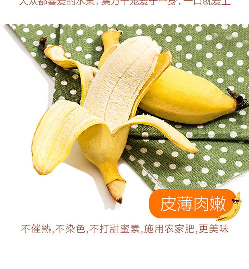 广西小米蕉香蕉水果批发10斤 5斤装当季新鲜水果 多规格可选