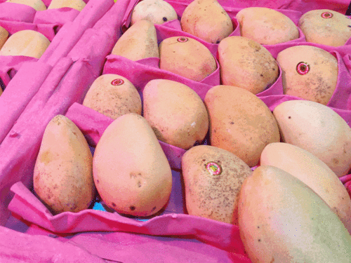 实拍 泸州超大水果批发市场,价格便宜的背后是....