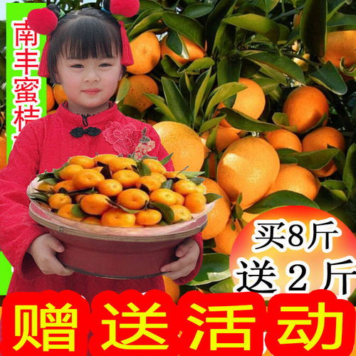应季橘子水果批发新鲜桔子水果皮薄南丰蜜桔小红橘子非金桔沙糖桔