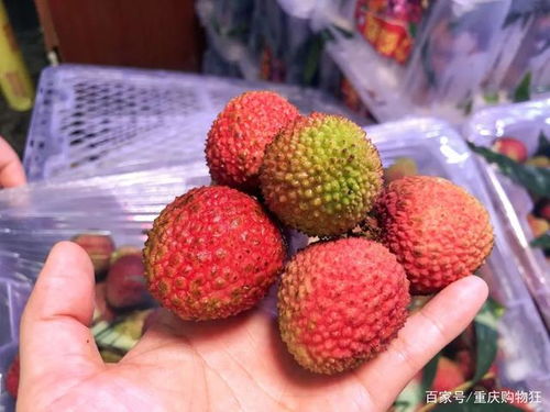 爆走重庆最大水果批发市场 100元实现自由,2元就能称1斤